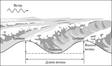 Естествознание и основы экологии - i_034.jpg