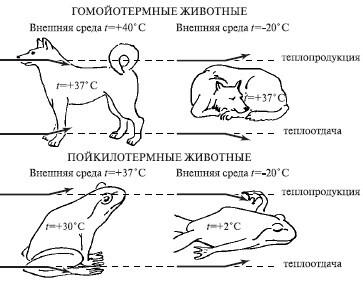 Естествознание и основы экологии - i_105.jpg