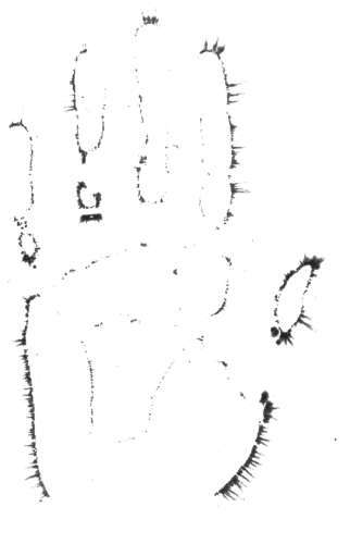 Секреты тантра-йоги - i_031.jpg