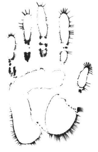 Секреты тантра-йоги - i_032.jpg