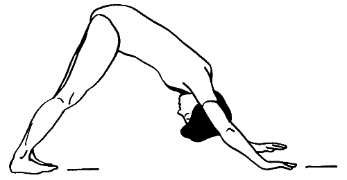 Секреты тантра-йоги - i_132.png