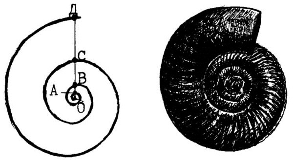 Символы и знаки. Арканы Таро, коды тайных обществ и значения древних артефактов - i_050.jpg