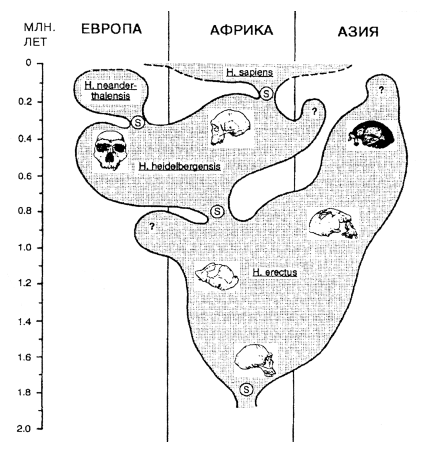 Предки ариев - i_007.png