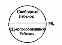 Психотерапия нового решения. Теория и практика - pic_4.jpg