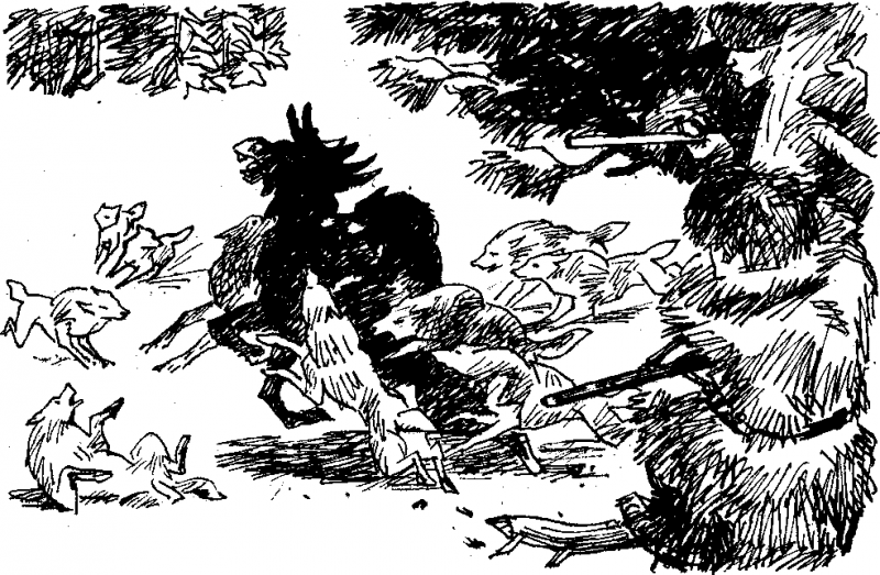 Робинзон в русском лесу - doc2fb_image_0300000A.png