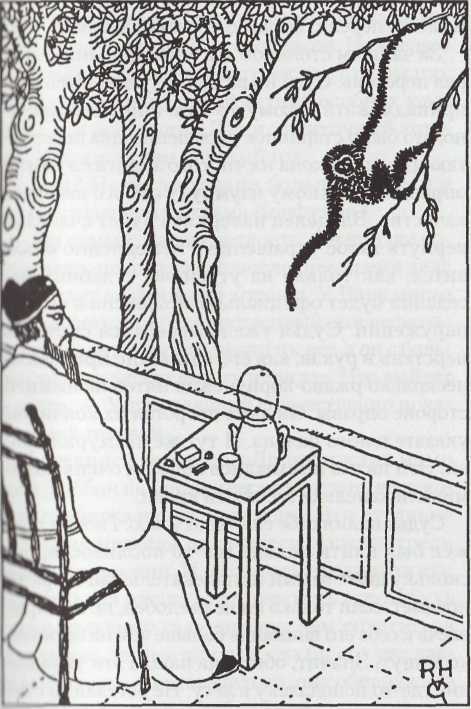 Обезьяна и тигр - i_001.jpg