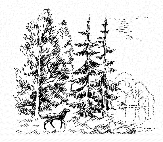 Кладовая солнца. Рассказы о природе - i_001.png