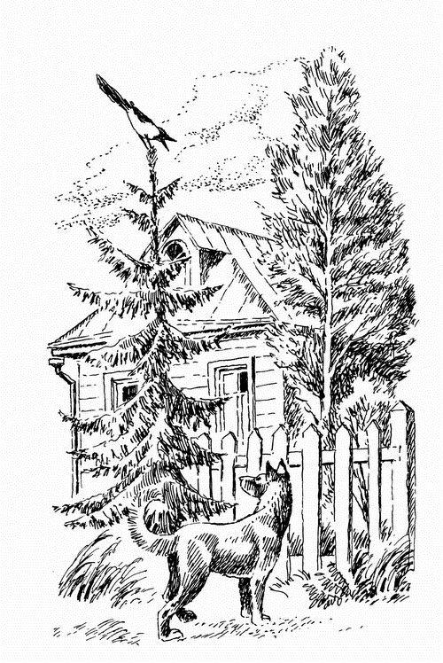 Кладовая солнца. Рассказы о природе - i_003.png