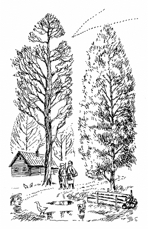 Кладовая солнца. Рассказы о природе - i_009.png