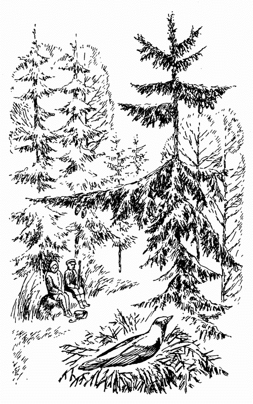 Кладовая солнца. Рассказы о природе - i_010.png