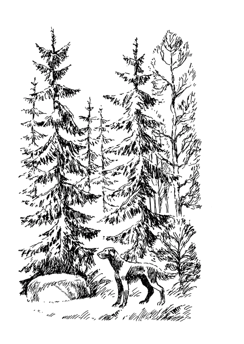 Кладовая солнца. Рассказы о природе - i_011.png