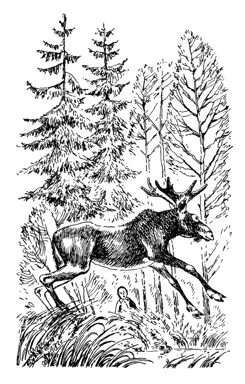 Кладовая солнца. Рассказы о природе - i_012.png