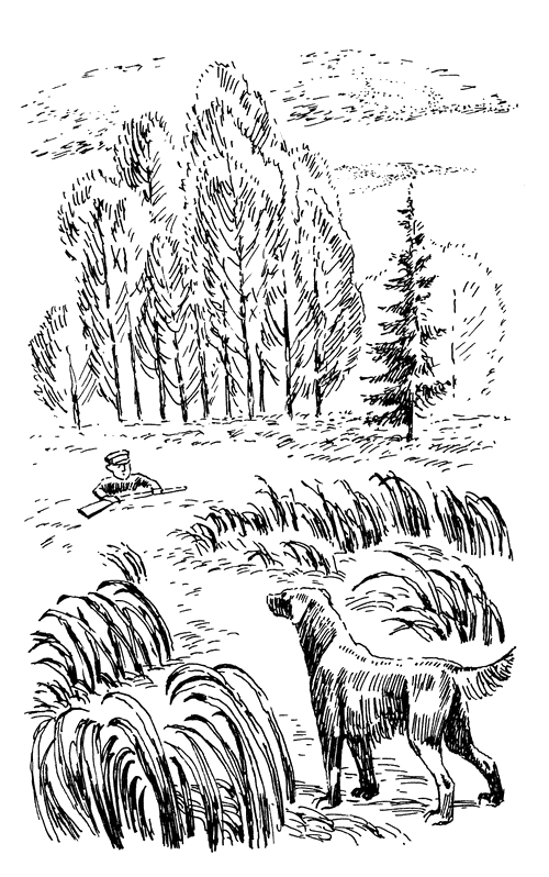 Кладовая солнца. Рассказы о природе - i_013.png