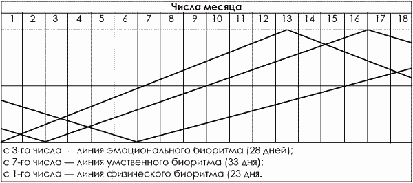 Тхэквондо. Теория и методика. Том.1. Спортивное единоборство - i_493.png