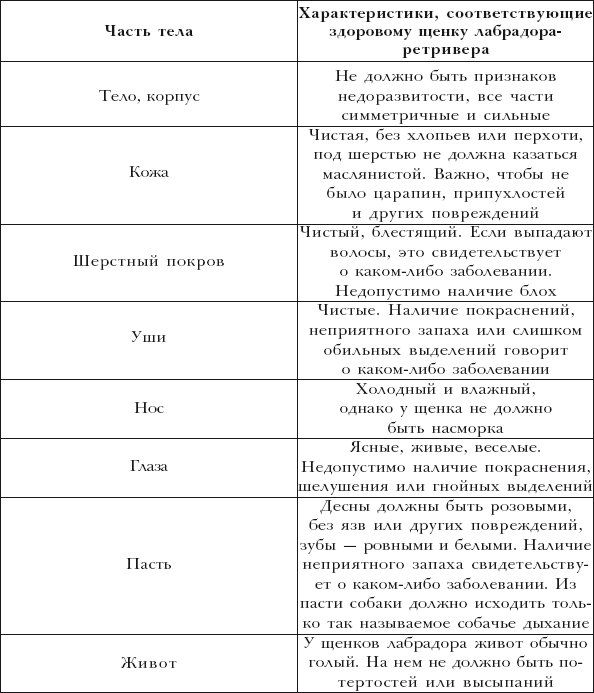 Лабрадор ретривер - i_020.png