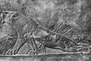 Другая история литературы. От самого начала до наших дней - i_115.jpg