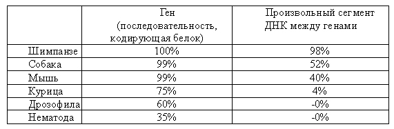 Доказательство Бога. Аргументы ученого - _5.1.jpg