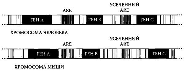 Доказательство Бога. Аргументы ученого - _3.jpg