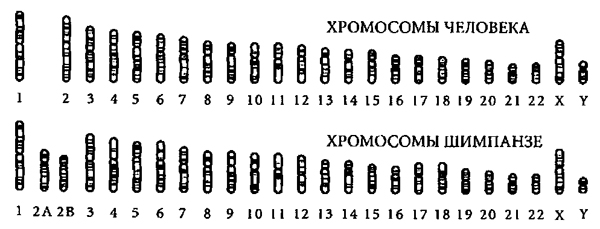 Доказательство Бога. Аргументы ученого - _4.jpg