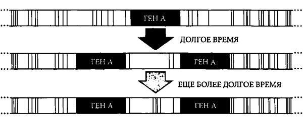 Доказательство Бога. Аргументы ученого - _5.jpg