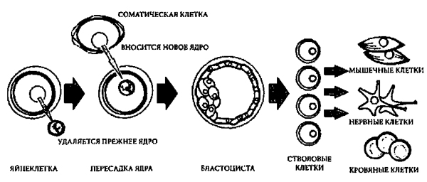 Доказательство Бога. Аргументы ученого - _6.jpg