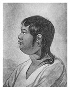 Путешествия вокруг света - i_097.jpg