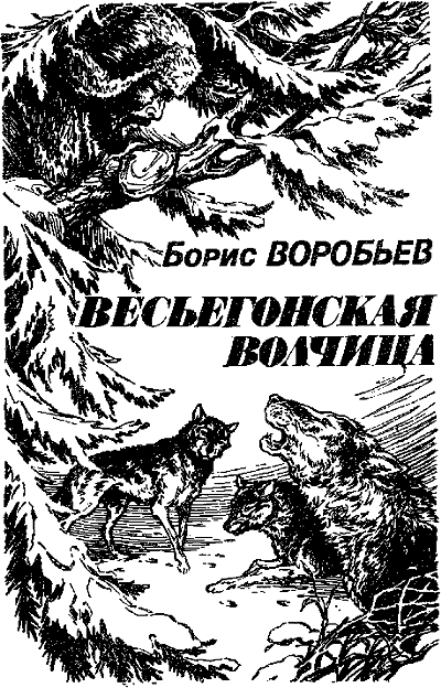 Искатель. 1987. Выпуск №3 - i_004.png