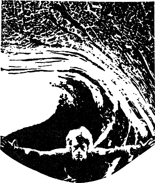 Искатель. 1987. Выпуск №5 - i_009.png