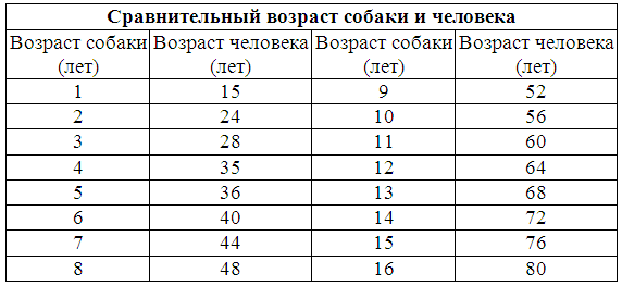 Думает ли собака? - i_002.png