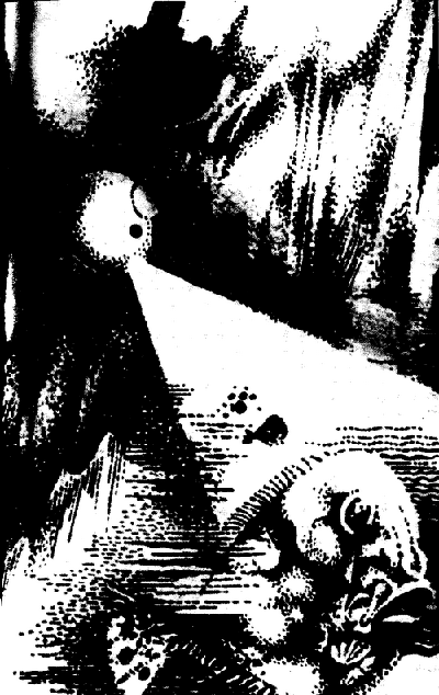 Експедиція «Гондвана» - doc2fb_image_03000008.png