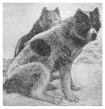 «Фрам» в полярном море - i_038.png