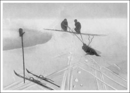 Северный полюс. Южный полюс - i_074.png