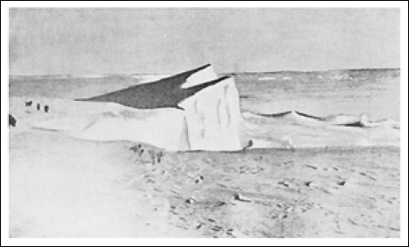 Северный полюс. Южный полюс - i_077.png