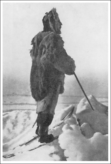 Северный полюс. Южный полюс - i_091.png