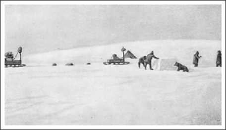 Северный полюс. Южный полюс - i_092.png