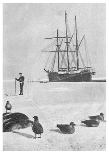 Северный полюс. Южный полюс - i_115.png