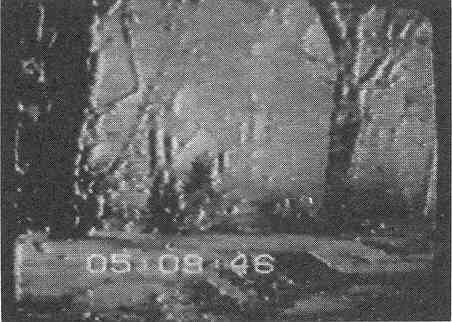 Мост между мирами. - i_039.jpg