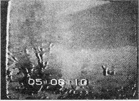 Мост между мирами. - i_040.jpg