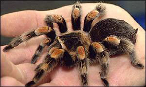 Конкурс на тот свет - i_001.jpg