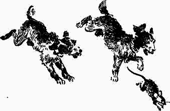 Плих и Плюх - _13.png