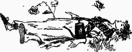 Плих и Плюх - _19.png