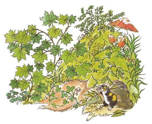 Мамонтёнок Фуф - img_20.jpeg