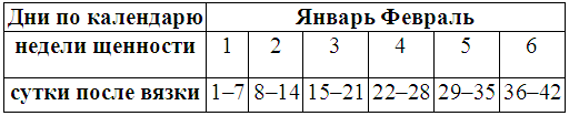 Собаки и их разведение - i_008.png