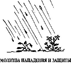 Зачем поет Птица? - pic_67.png