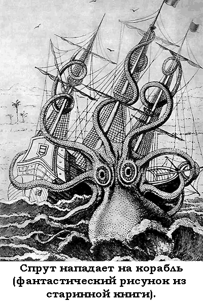 По морям вокруг Земли. Детская морская энциклопедия. Часть I - i_040.png