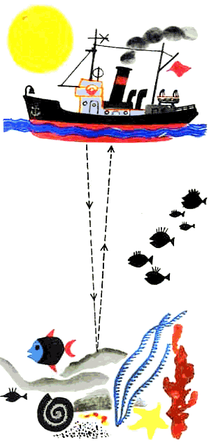 По морям вокруг Земли. Детская морская энциклопедия. Часть I - i_062.png