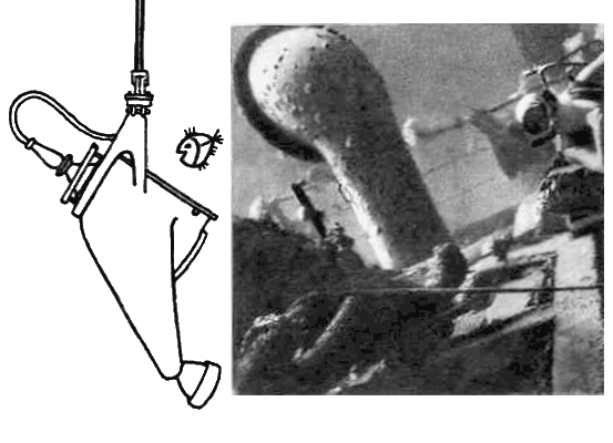 По морям вокруг Земли. Детская морская энциклопедия. Часть I - i_064.png