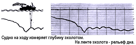 По морям вокруг Земли. Детская морская энциклопедия. Часть II - i_023.png