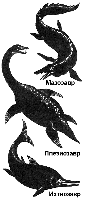 По морям вокруг Земли. Детская морская энциклопедия. Часть II - i_028.png