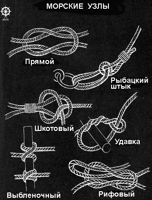 По морям вокруг Земли. Детская морская энциклопедия. Часть II - i_045.png